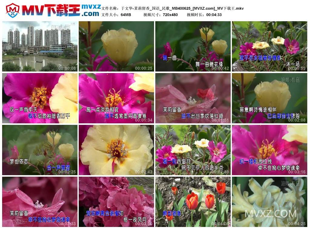 于文华-茉莉留香_国语_民歌_MB400625